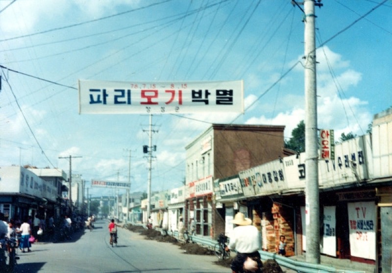 서울에서 장성 가는 법 – KTX·고속버스·자가용 완전 가이드